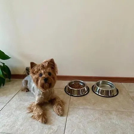 Lovita With A Garage Lägenhet *