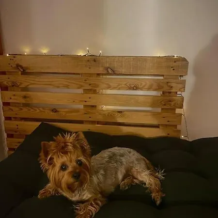 Lovita With A Garage Appartement